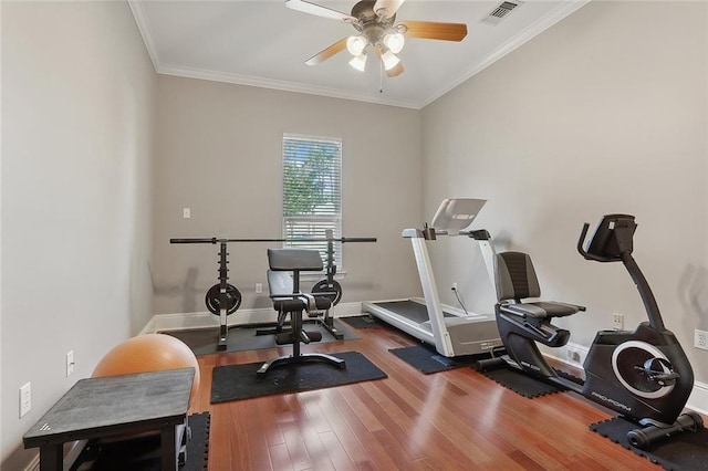 exercise area featuring ornamental molding, ceiling fan, and dark hardwood / wood-style flooring