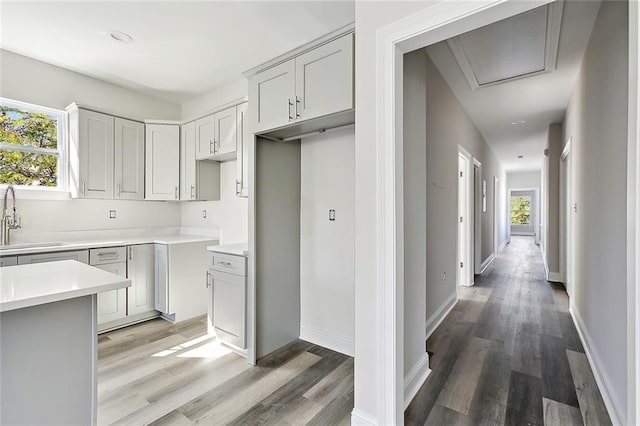 kitchen featuring hardwood / wood-style flooring, gray cabinets, and sink