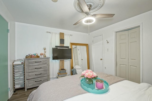 bedroom featuring ceiling fan and dark hardwood / wood-style floors