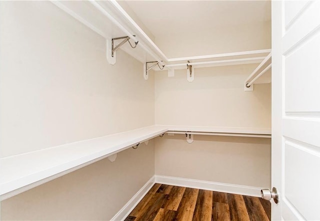 walk in closet with dark wood-type flooring