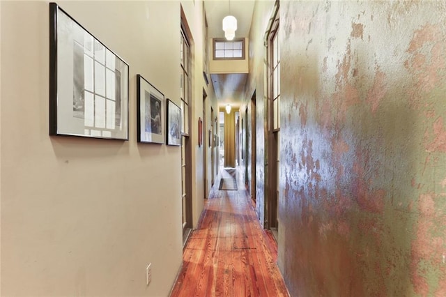 hall with hardwood / wood-style floors