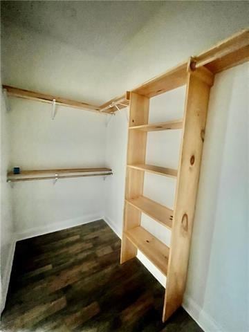 walk in closet featuring dark hardwood / wood-style flooring