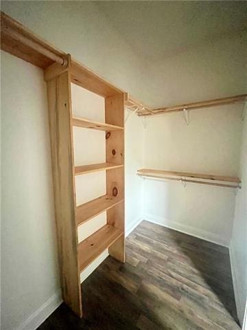 spacious closet featuring dark hardwood / wood-style flooring