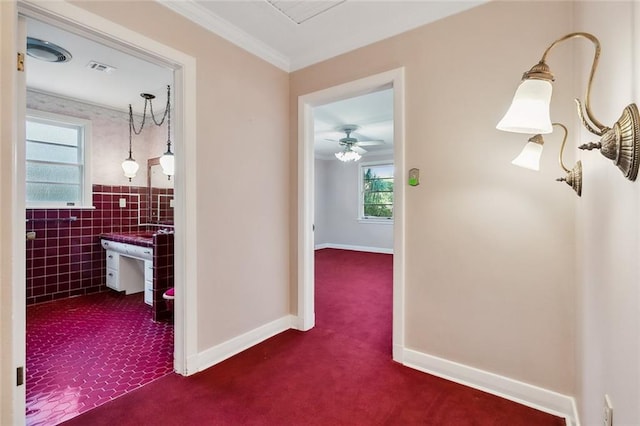 hallway featuring ornamental molding, a healthy amount of sunlight, tile walls, and dark colored carpet