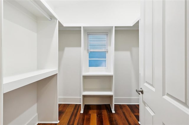 walk in closet featuring dark hardwood / wood-style floors