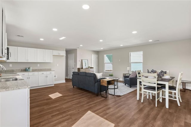 living room featuring sink and dark wood-type flooring