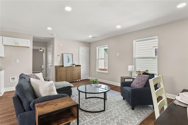 living room featuring hardwood / wood-style floors