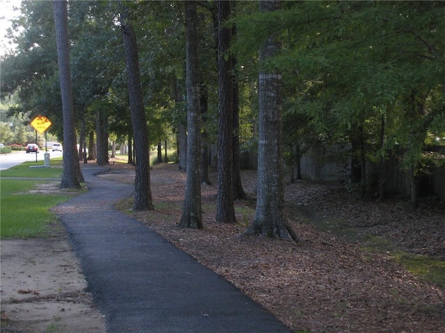 207 Pineridge Ct Unit 207, Mandeville, LA 70448 - photo 23