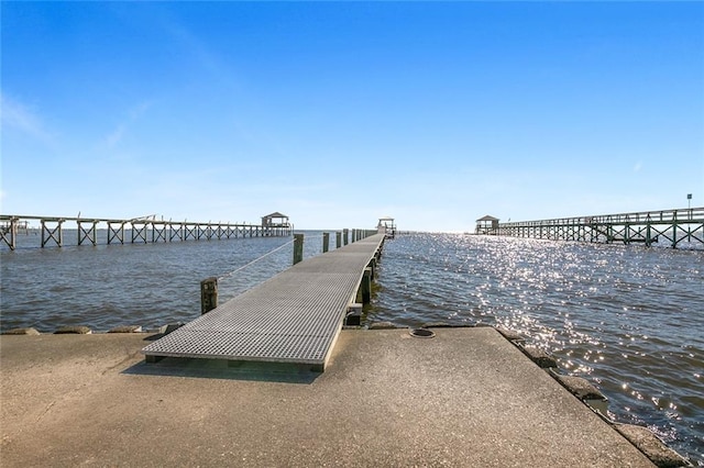 dock area with a water view