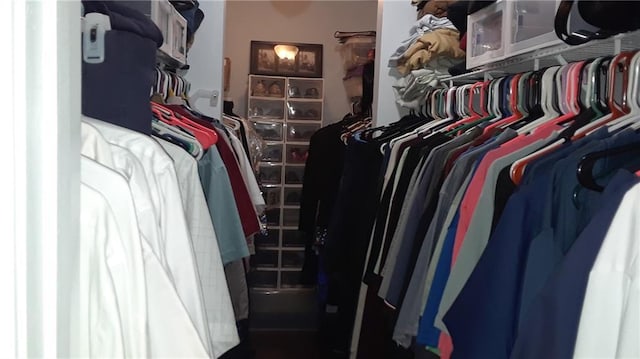 view of spacious closet