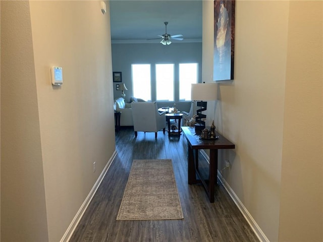 hallway featuring crown molding and dark hardwood / wood-style floors