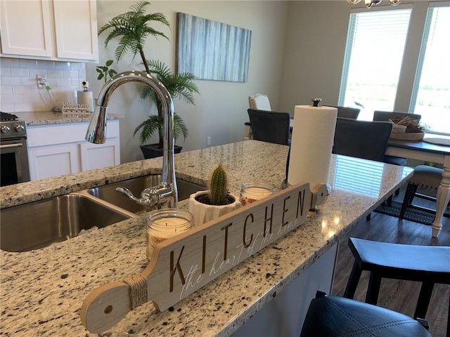 kitchen with backsplash, light stone counters, plenty of natural light, and sink