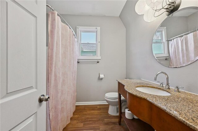 bathroom featuring vanity, wood-type flooring, and toilet