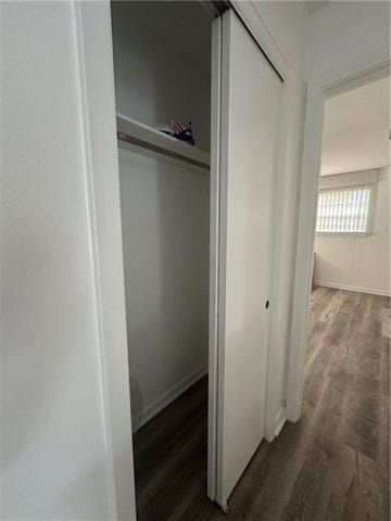 view of closet