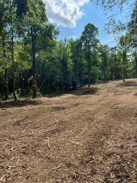 LOT32 Bridge Vw, Carriere MS, 39426 land for sale