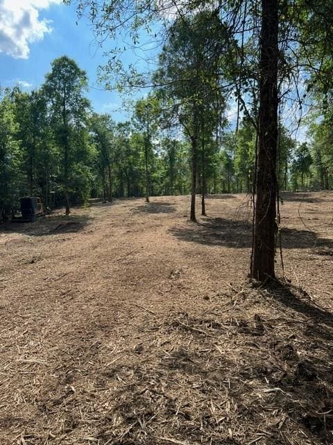 Listing photo 2 for LOT30 Bridge Vw, Carriere MS 39426