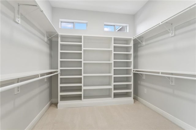 walk in closet featuring light carpet