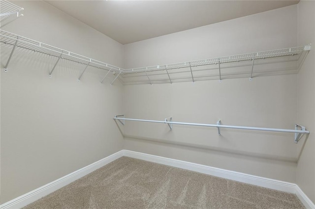 walk in closet with carpet