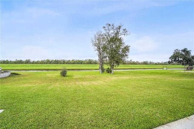 view of yard with a rural view