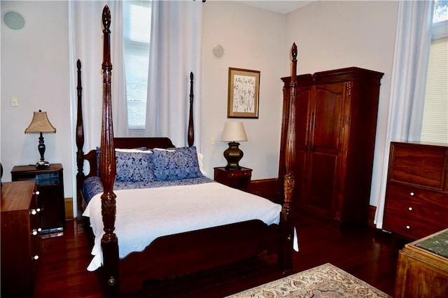 bedroom featuring multiple windows and dark wood-type flooring