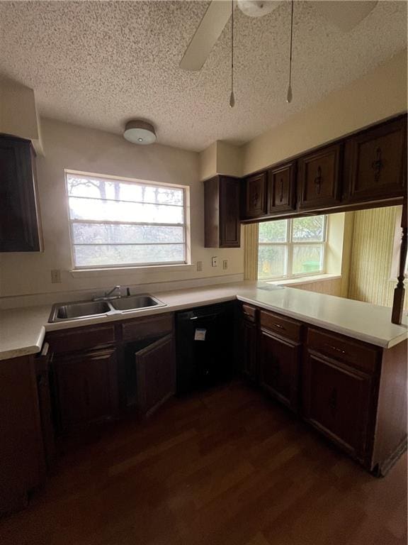 kitchen with plenty of natural light, dark hardwood / wood-style floors, sink, and black dishwasher