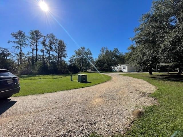 view of street featuring gravel driveway