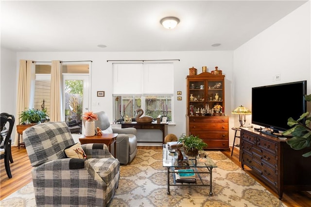 living room with light hardwood / wood-style floors