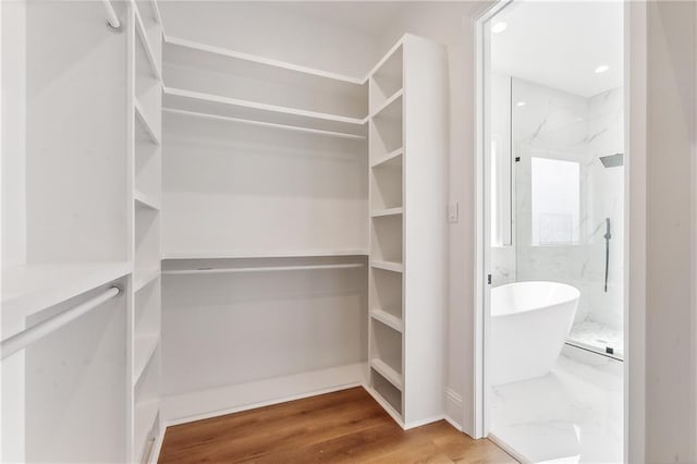 walk in closet with wood-type flooring