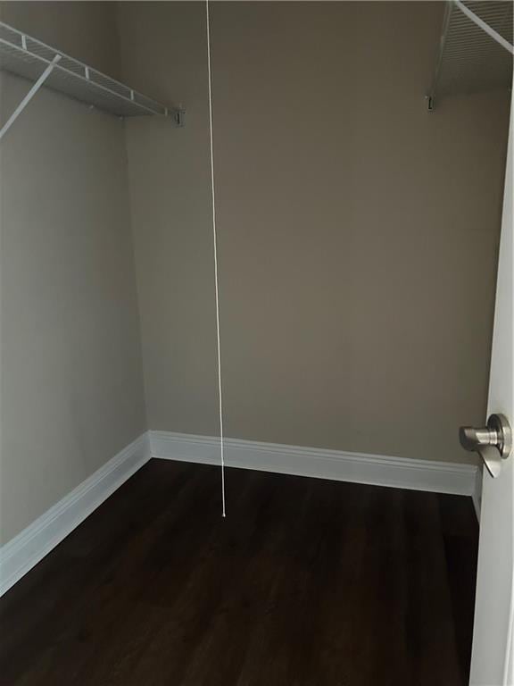 spacious closet with dark hardwood / wood-style floors