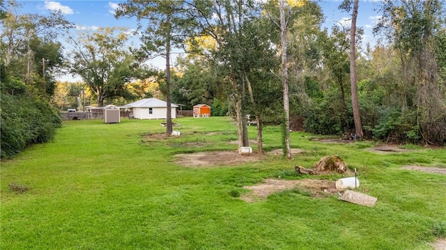 view of yard featuring a storage unit