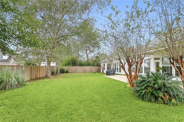 view of yard featuring a patio