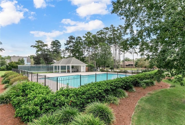 view of pool with a patio