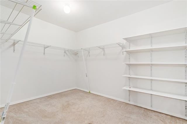 spacious closet with carpet flooring