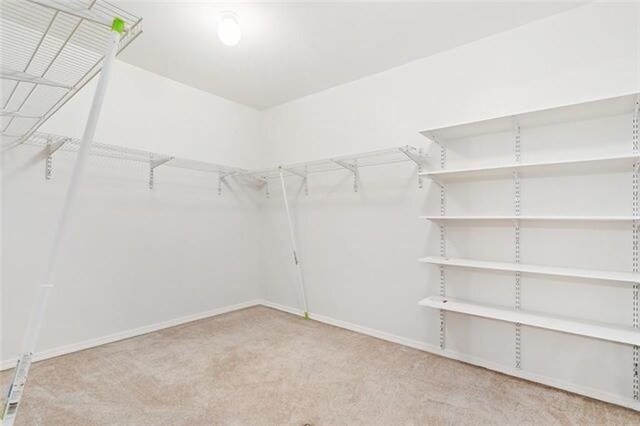 180 Lakeview Dr Unit A, Slidell, LA 70458 - walk in closet featuring carpet flooring