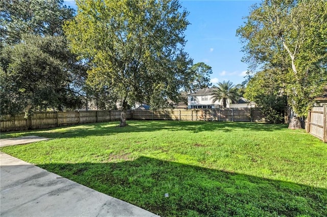 view of yard featuring a fenced backyard