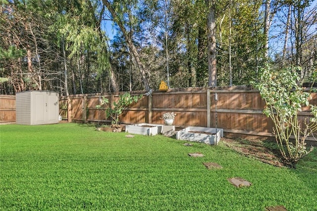 view of yard with a shed