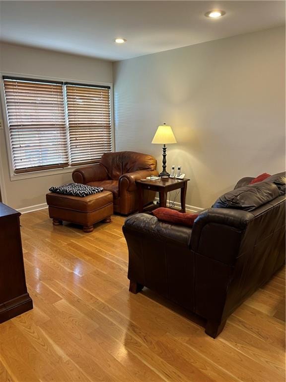 living room featuring light hardwood / wood-style floors