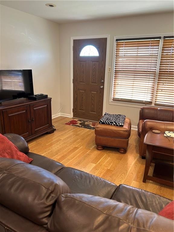 living room featuring light hardwood / wood-style flooring