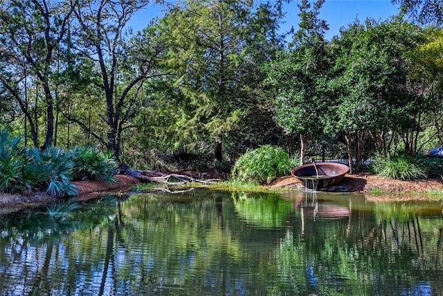 view of water feature