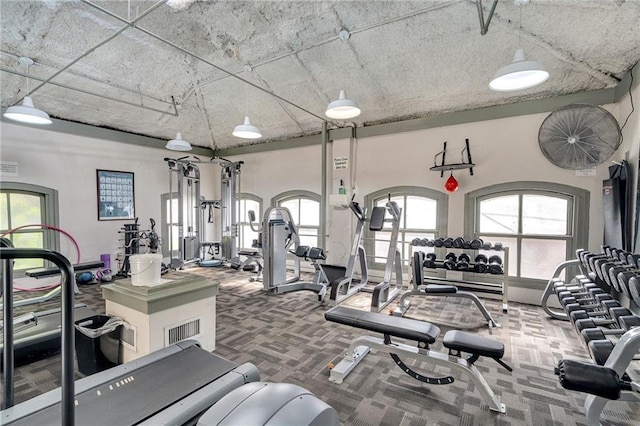 exercise room featuring carpet floors