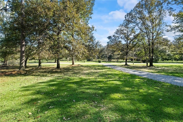 view of community featuring a yard