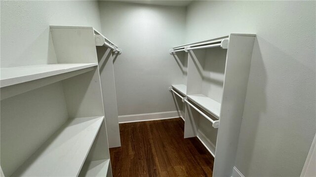 walk in closet featuring dark hardwood / wood-style floors