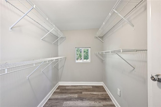 walk in closet featuring dark wood-type flooring