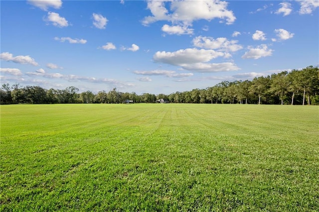 12348 Quaglino Rd, Folsom, LA 70437 - photo 54