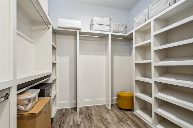 spacious closet with dark wood finished floors