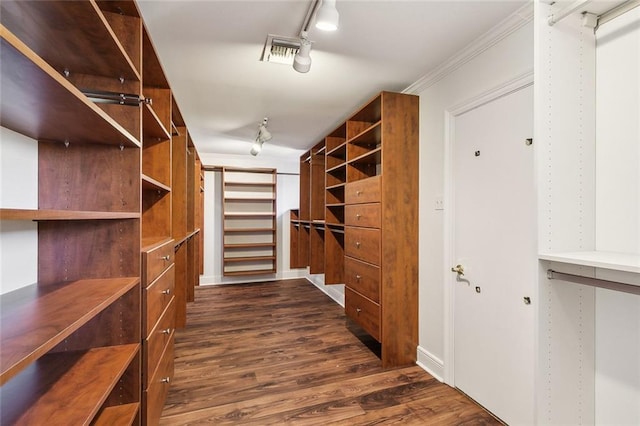 walk in closet with dark wood-type flooring