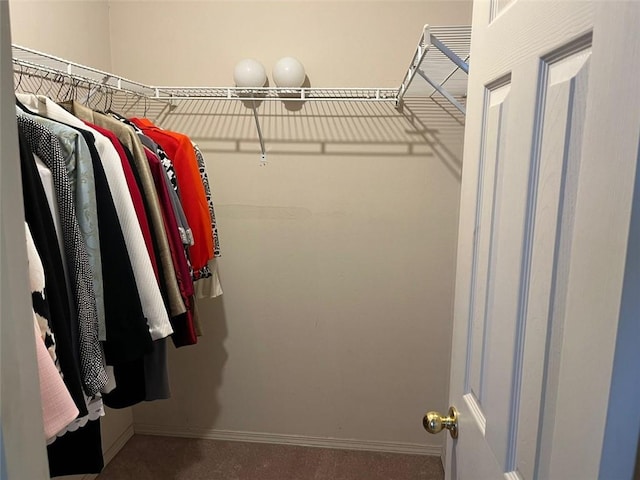 spacious closet with carpet