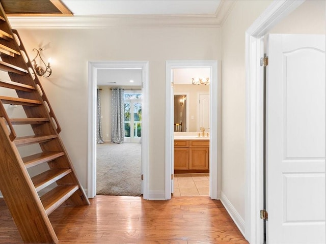 hallway featuring light hardwood / wood-style flooring, crown molding, and sink