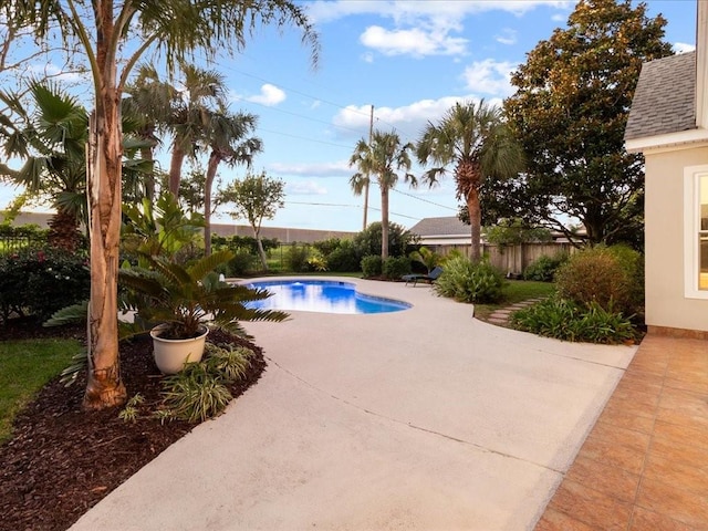 view of swimming pool with a patio area