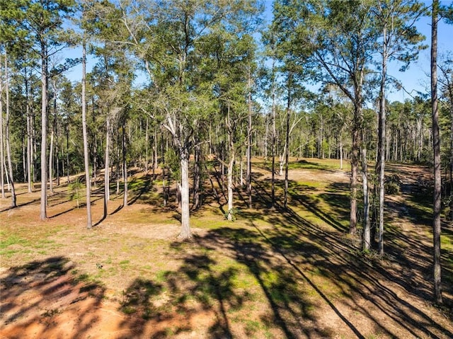 17.77ACRES Nicaud Rd, Folsom, LA 70437